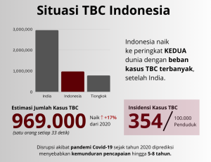 Kasus TBC di Indonesia 2022