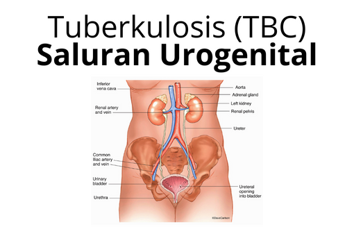 TBC_Saluran Urogenital